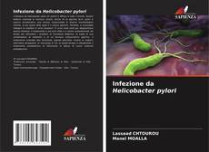 Infezione da Helicobacter pylori kitap kapağı