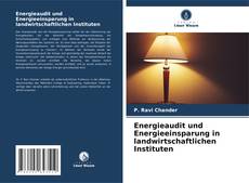 Capa do livro de Energieaudit und Energieeinsparung in landwirtschaftlichen Instituten 