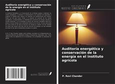 Copertina di Auditoría energética y conservación de la energía en el instituto agrícola