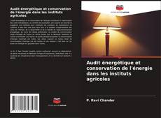 Buchcover von Audit énergétique et conservation de l'énergie dans les instituts agricoles
