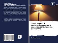Bookcover of Энергоаудит и энергосбережение в сельскохозяйственном институте