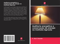 Bookcover of Auditoria energética e conservação de energia no Instituto Agrícola