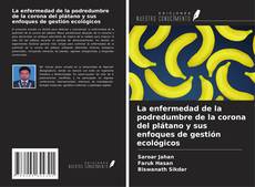 La enfermedad de la podredumbre de la corona del plátano y sus enfoques de gestión ecológicos kitap kapağı