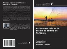 Estreptococosis en la tilapia de cultivo de Tanzania的封面