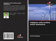 Buchcover von Indagine sulla turbina eolica domestica