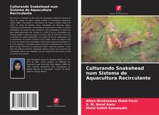 Buchcover von Culturando Snakehead num Sistema de Aquacultura Recirculante