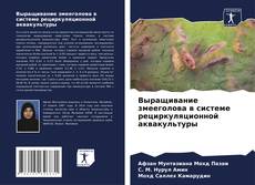 Couverture de Выращивание змееголова в системе рециркуляционной аквакультуры