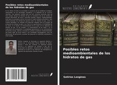 Bookcover of Posibles retos medioambientales de los hidratos de gas