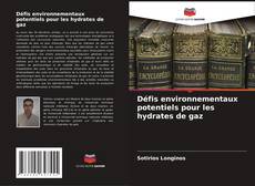 Capa do livro de Défis environnementaux potentiels pour les hydrates de gaz 