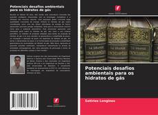 Bookcover of Potenciais desafios ambientais para os hidratos de gás