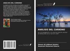 ANÁLISIS DEL CARBONO kitap kapağı