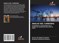 ANALISI DEL CARBONIO的封面