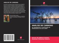 Buchcover von ANÁLISE DE CARBONO