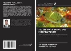 "EL LIBRO DE MANO DEL MINIPROYECTO的封面