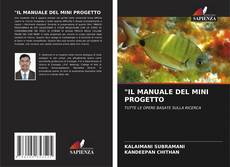 Bookcover of "IL MANUALE DEL MINI PROGETTO