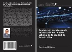 Evaluación del riesgo de inundación en la zona urbana de la ciudad de Tabuk, KSA kitap kapağı