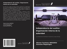 Buchcover von Independencia del auditor. Organización interna de la autoridad