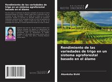Buchcover von Rendimiento de las variedades de trigo en un sistema agroforestal basado en el álamo
