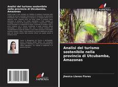 Analisi del turismo sostenibile nella provincia di Utcubamba, Amazonas kitap kapağı