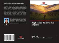 Bookcover of Application foliaire des engrais
