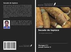 Bookcover of Secado de tapioca