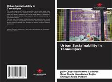 Couverture de Urban Sustainability in Tamaulipas