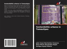 Copertina di Sostenibilità urbana in Tamaulipas