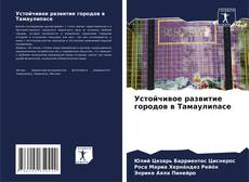 Устойчивое развитие городов в Тамаулипасе kitap kapağı