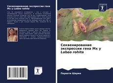 Обложка Секвенирование экспрессии гена Mx у Labeo rohita