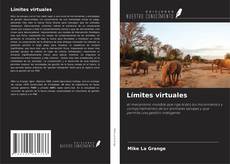 Límites virtuales kitap kapağı
