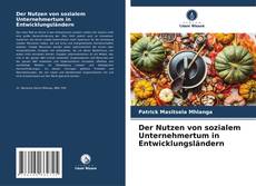 Portada del libro de Der Nutzen von sozialem Unternehmertum in Entwicklungsländern