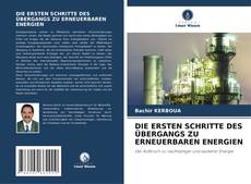 Buchcover von DIE ERSTEN SCHRITTE DES ÜBERGANGS ZU ERNEUERBAREN ENERGIEN