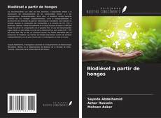 Capa do livro de Biodiésel a partir de hongos 