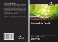 Biodiesel dai funghi kitap kapağı