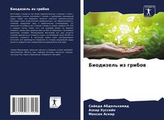 Buchcover von Биодизель из грибов