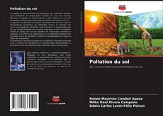 Capa do livro de Pollution du sol 