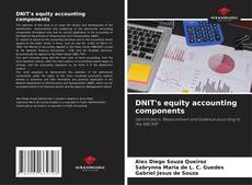 Copertina di DNIT's equity accounting components