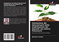 Bookcover of Valutazione dei determinanti della mobilitazione dei depositi nel settore finanziario