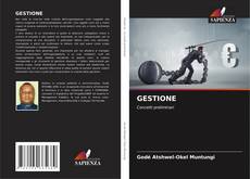 Bookcover of GESTIONE