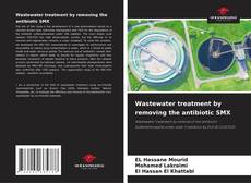 Copertina di Wastewater treatment by removing the antibiotic SMX