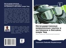 Негосударственные вооруженные группы и экстремизм в бассейне озера Чад的封面
