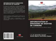 DÉFORESTATION ET ÉMISSIONS DE DIOXYDE DE CARBONE的封面