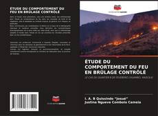ÉTUDE DU COMPORTEMENT DU FEU EN BRÛLAGE CONTRÔLÉ kitap kapağı