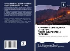 Capa do livro de ИЗУЧЕНИЕ ПОВЕДЕНИЯ ОГНЯ ПРИ КОНТРОЛИРУЕМОМ ГОРЕНИИ 