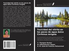 Bookcover of Toxicidad del nitrito en los peces de agua dulce Cirrhinus mrigala