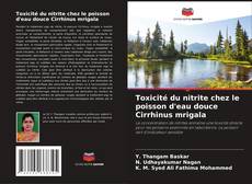 Toxicité du nitrite chez le poisson d'eau douce Cirrhinus mrigala kitap kapağı