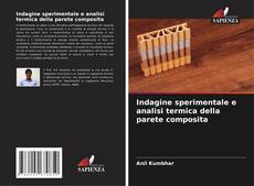 Buchcover von Indagine sperimentale e analisi termica della parete composita