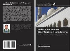 Buchcover von Análisis de bombas centrífugas en la industria