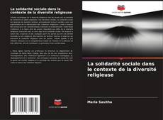 La solidarité sociale dans le contexte de la diversité religieuse kitap kapağı