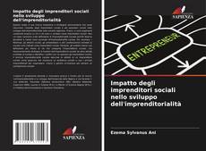 Copertina di Impatto degli imprenditori sociali nello sviluppo dell'imprenditorialità